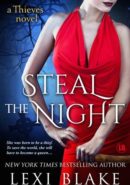 Steal the Night epub