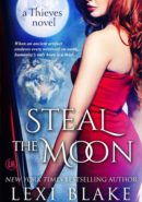 Steal the Moon epub