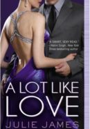 A Lot like Love epub