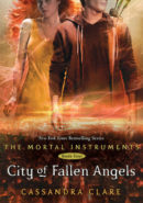 City of Fallen Angels epub